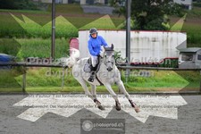 ref. photo 3310335