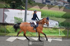 ref. photo 3310414
