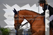 ref. photo 3310417