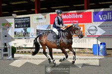 ref. photo 3310436