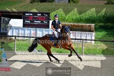 ref. photo 3310539