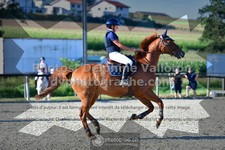 ref. photo 3310556