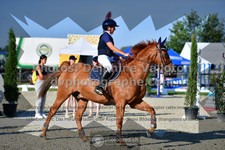 ref. photo 3310560