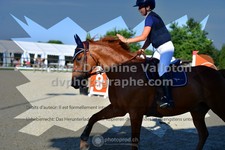 ref. photo 3310562
