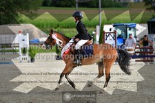 ref. photo 3310841