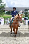 ref. photo 3311087
