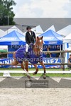 ref. photo 3311097