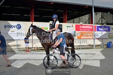 ref. photo 3311118