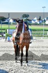 ref. photo 3311261