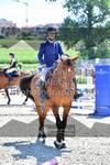 ref. photo 3311312