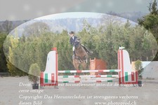 ref. photo 3138783