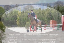 ref. photo 3138784