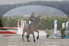 ref. photo 3138805