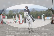 ref. photo 3138806