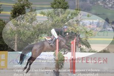 ref. photo 3138837