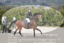 ref. photo 3138840