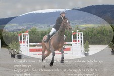 ref. photo 3138844