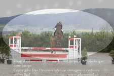 ref. photo 3138851