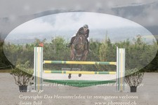 ref. photo 3138861