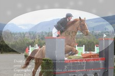 ref. photo 3138869