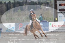 ref. photo 3138871