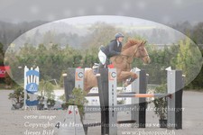 ref. photo 3138873