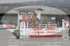 ref. photo 3138874