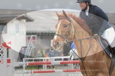ref. photo 3138883