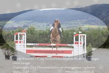 ref. photo 3138886