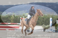 ref. photo 3138887