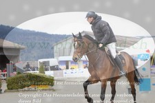ref. photo 3138895