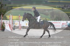 ref. photo 3138902