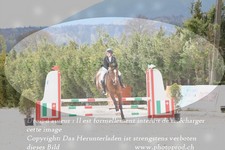 ref. photo 3138909