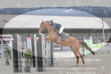 ref. photo 3138924