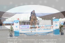 ref. photo 3138927