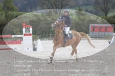 ref. photo 3138933