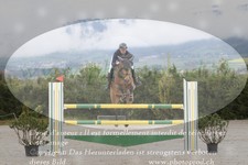 ref. photo 3138941