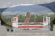ref. photo 3138949