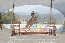 ref. photo 3138952