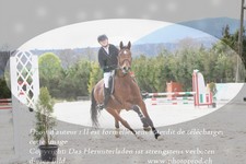 ref. photo 3138988
