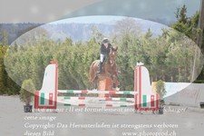 ref. photo 3138990