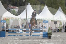 ref. photo 3138991