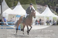 ref. photo 3138992