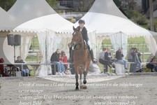 ref. photo 3138993