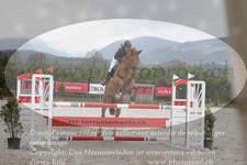 ref. photo 3138996