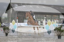 ref. photo 3138997