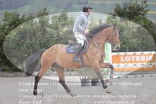 ref. photo 3139016