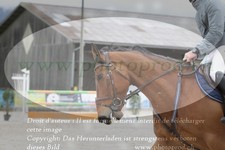 ref. photo 3139019