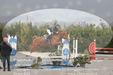 ref. photo 3139026