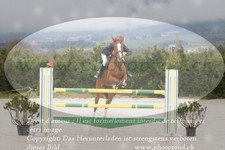 ref. photo 3139030